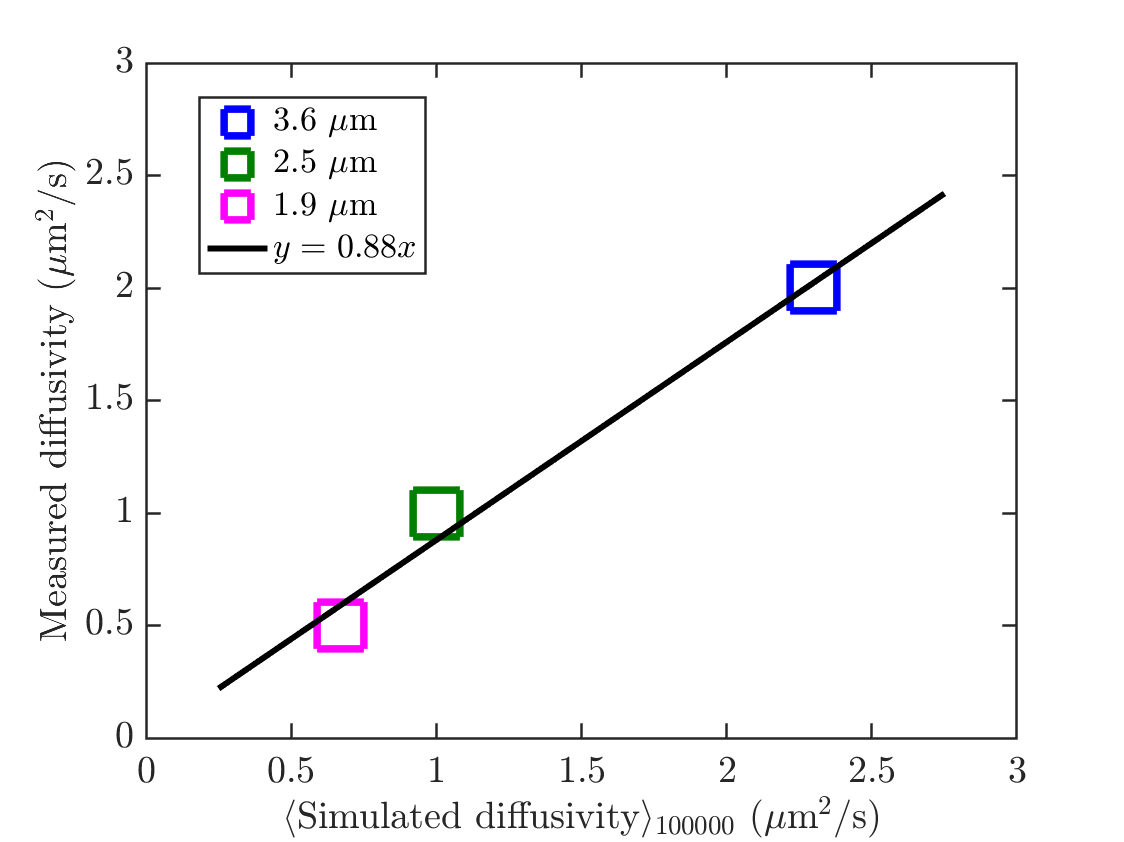 Comparison of simulated vs experimental diffusivities