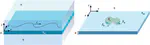 Swimming of microorganisms in quasi-2D membranes